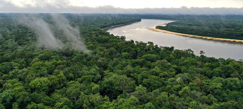 Bancada do AM Destina Apenas 0,15% das Emendas para o Clima em 2026