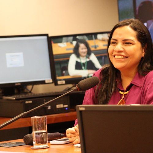 Voz da Amazônia em Brasília: Anne Moura Lança Candidatura para Quebrar Jejum de Mulheres no Congresso