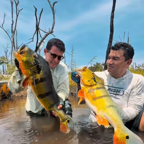 Jesus Alves e o Potencial da Pesca Esportiva: Vetores de Desenvolvimento no Interior do Amazonas