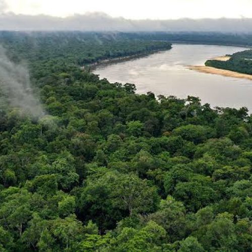 Bancada do AM Destina Apenas 0,15% das Emendas para o Clima em 2026