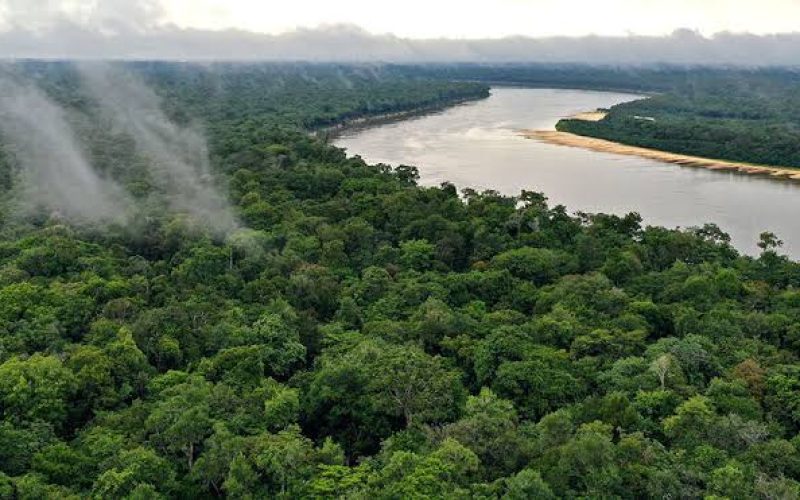 Bancada do AM Destina Apenas 0,15% das Emendas para o Clima em 2026