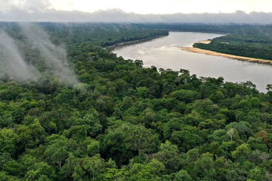 Bancada do AM Destina Apenas 0,15% das Emendas para o Clima em 2026